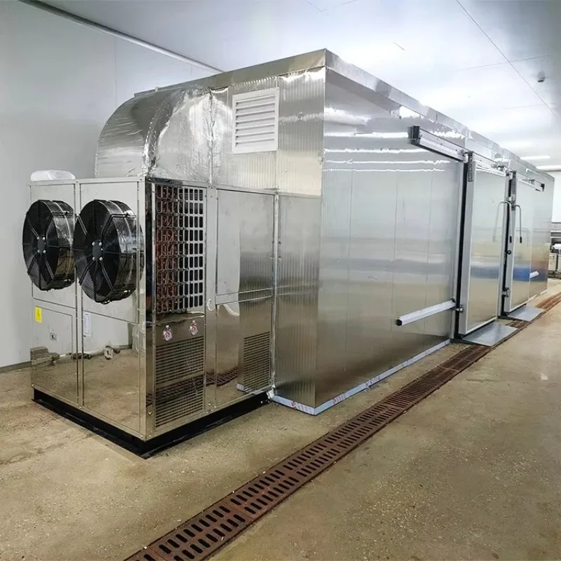 Pompe à chaleur industrielle, four déshydratant pour fruits secs, aliments industriels, Chili, poiss