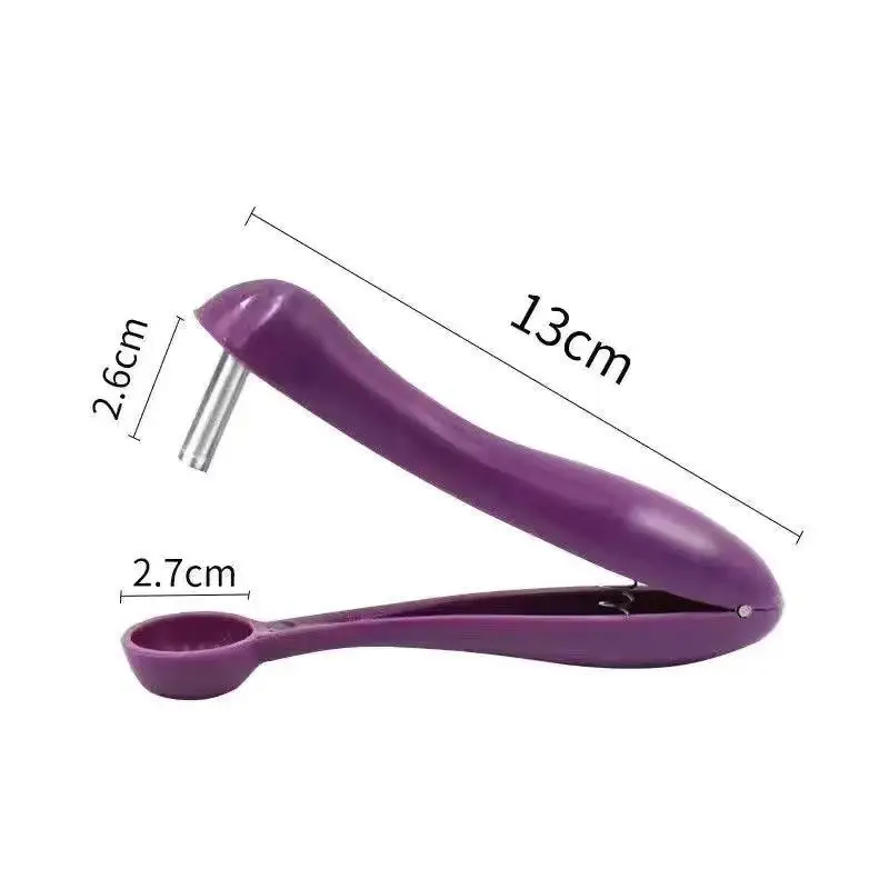 Décortiqueur de cerises multifonctionnel, outil rapide pour enlever les noyaux de cerises, gadget de