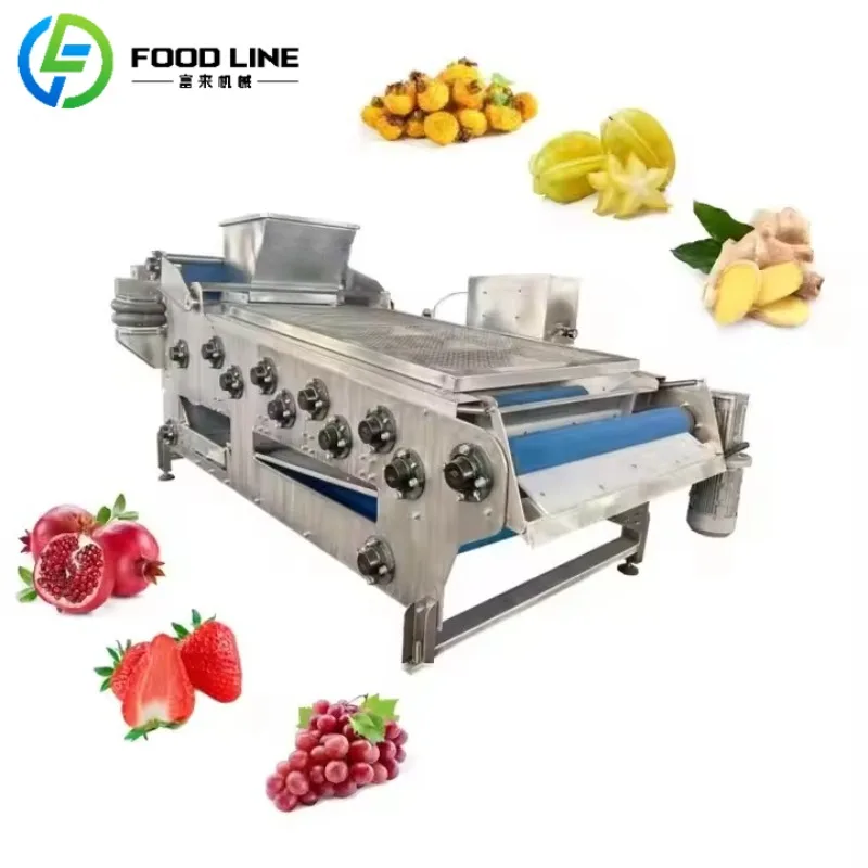 Machine de fabrication de jus de fruits de poire et de pomme, presse à froid, Machine de jus, équipe