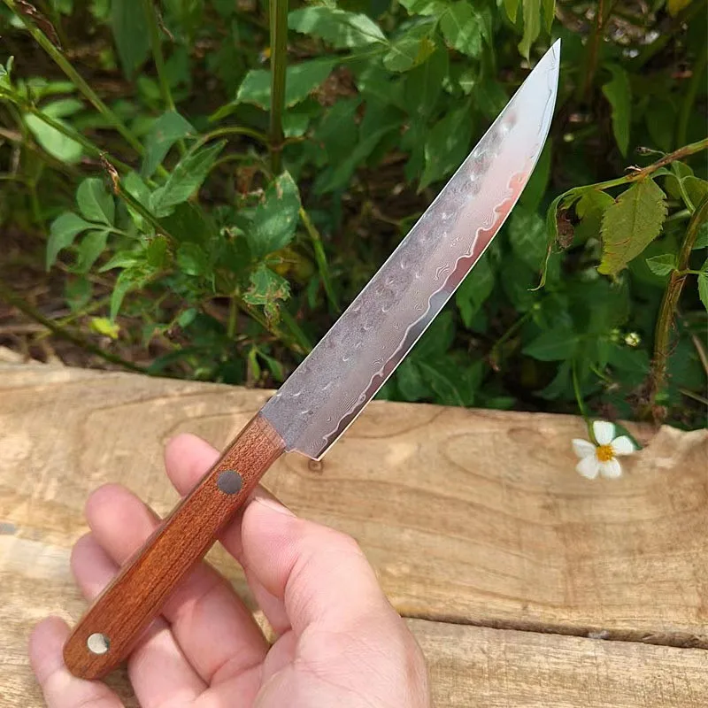 Couteau à Steak forgé en acier damas à 67 plis, couteau à fruits à éplucher tranchant, manche mongol