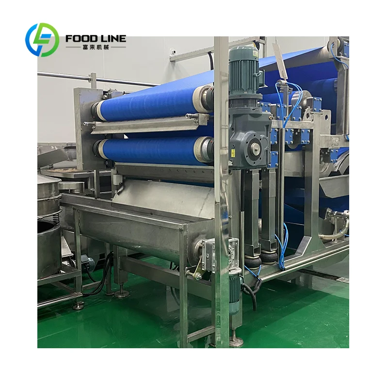Extracteur de jus électrique personnalisé en acier inoxydable, presse-agrumes à courroie, équipement