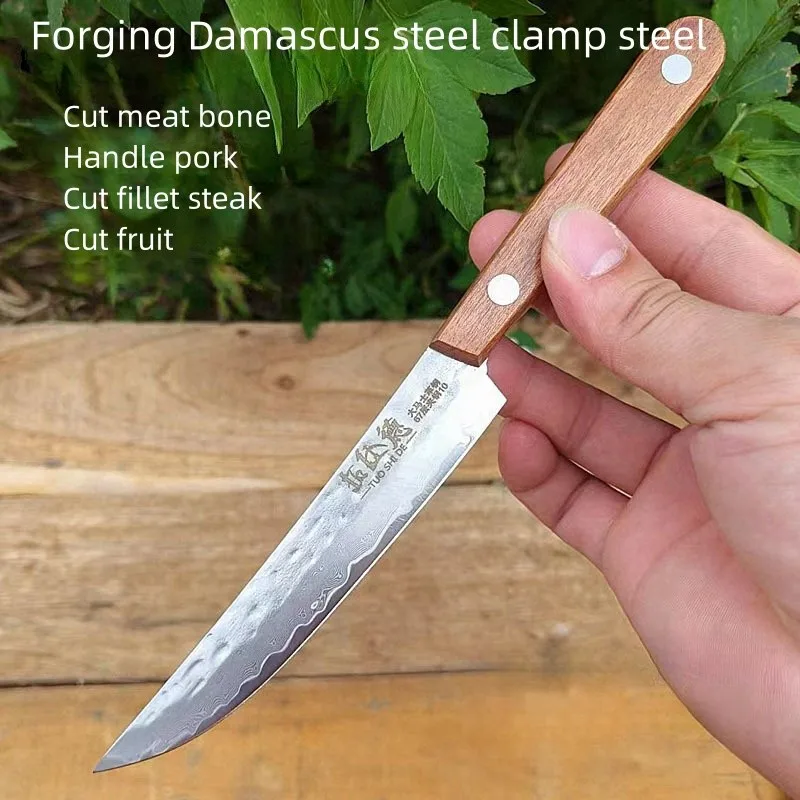 Couteau à Steak forgé en acier damas à 67 plis, couteau à fruits à éplucher tranchant, manche mongol