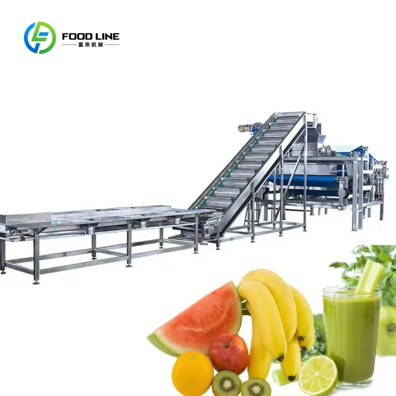Ligne de production de jus de fruits automatique professionnelle personnalisée pour pommes/pépites/a