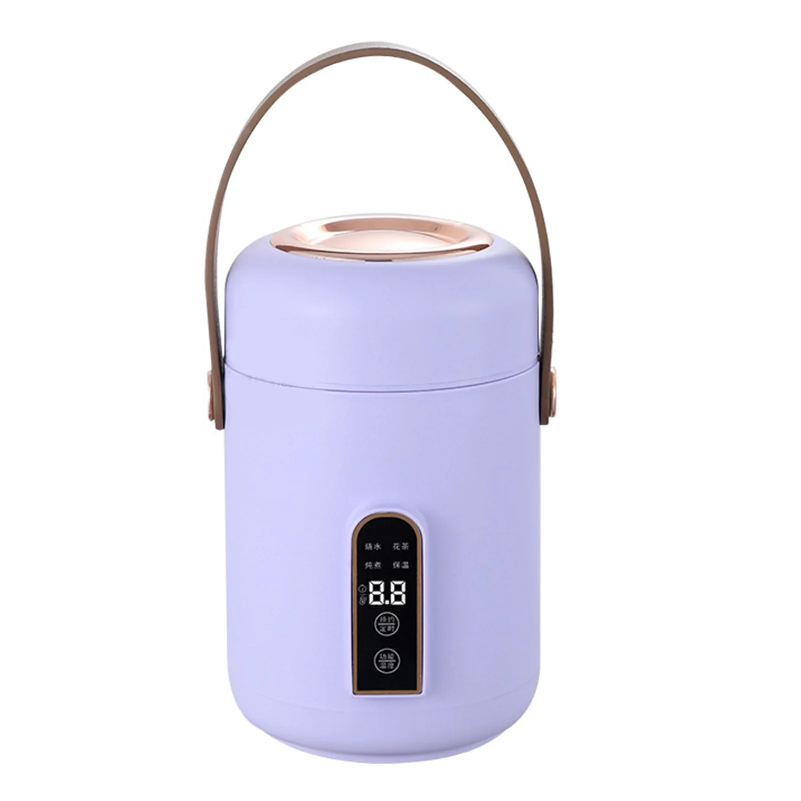 Marmite électrique Mini cuiseur à riz chauffage efficace isolé Portable multifonction soupe bouillie