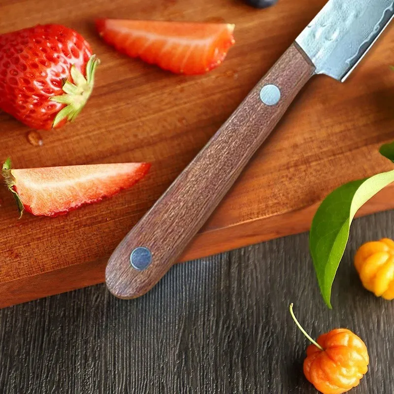 Couteau à Steak forgé en acier damas à 67 plis, couteau à fruits à éplucher tranchant, manche mongol