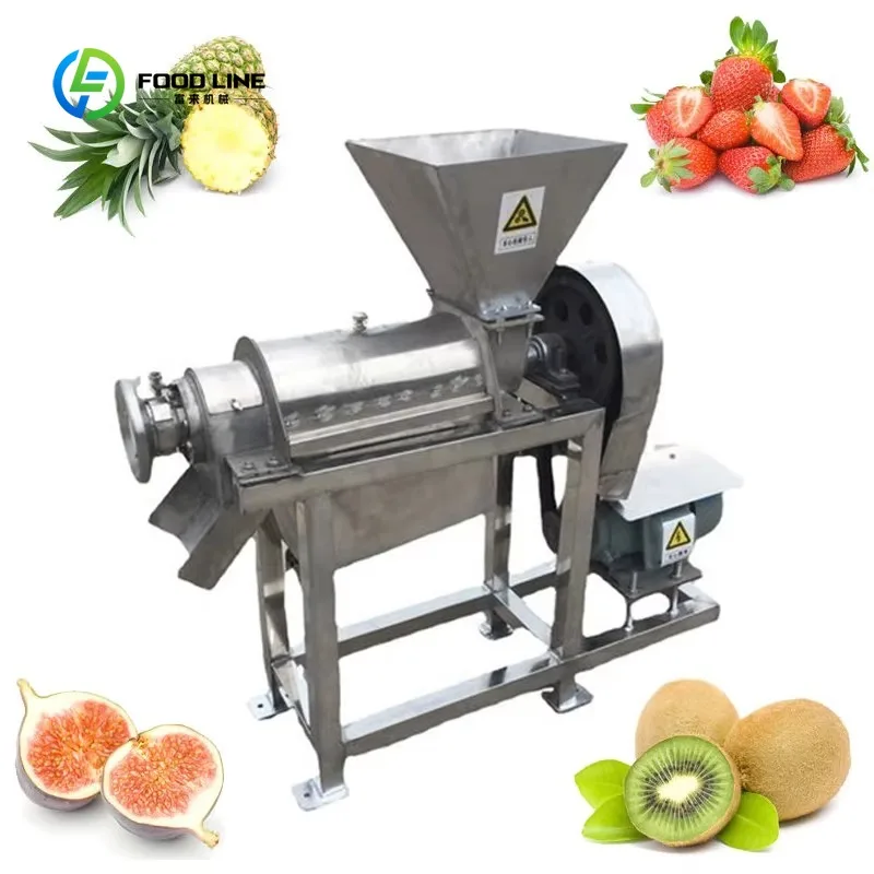 Presse-agrumes Commercial en spirale, presse-agrumes à froid, processeur de fruits et légumes