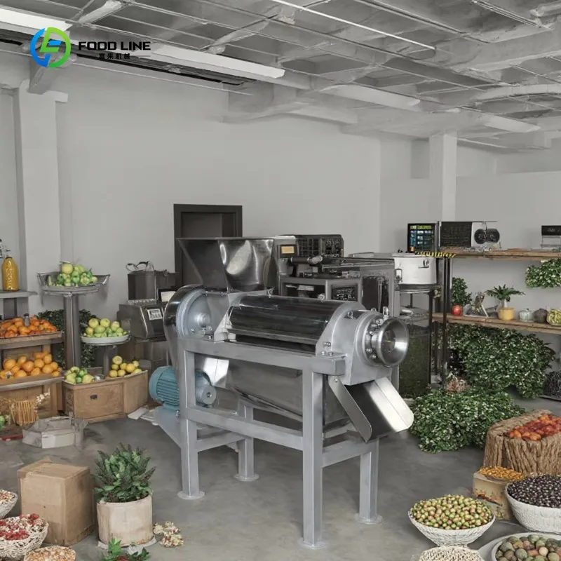 Machine professionnelle de jus de fruits et légumes