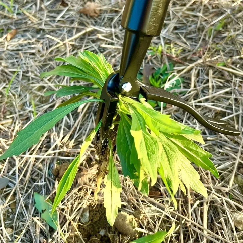 1 pièce Tête d'outil désherbeur à 4 griffes - Extracteur de racines professionnel pour les mauvaises herbes tenaces du jardin, solution ergonomique pour l'entretien des jardins