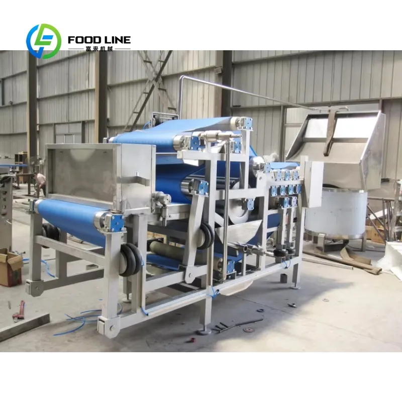 Extracteur de jus de fruits professionnel sur mesure