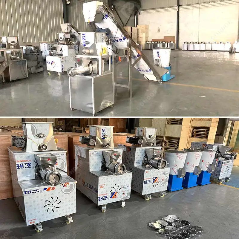 Machine à pâtes électrique compacte 100 kg