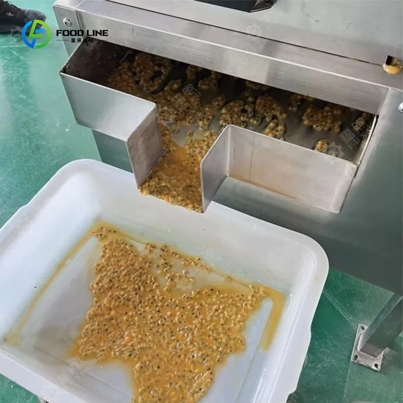 Extracteur de fruits professionnel Commercial SUS304