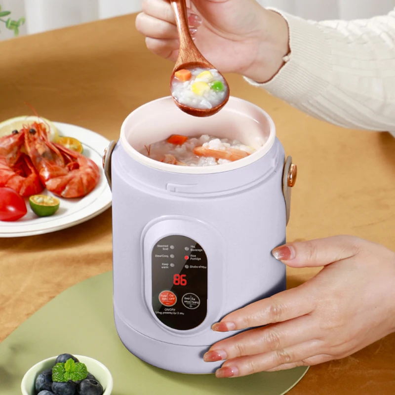 Nouveau cuiseur à riz multifonctionnel Portable petit bouilloire électrique de voyage