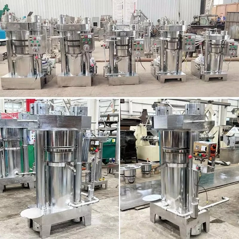 Machine d'extraction de presse à froid personnalisée
