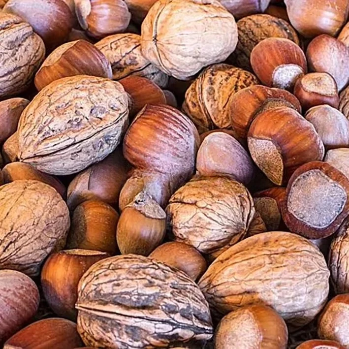 Équipement de boulangerie professionnel