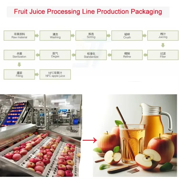 Ligne d'extraction de jus de pomme de qualité industrielle