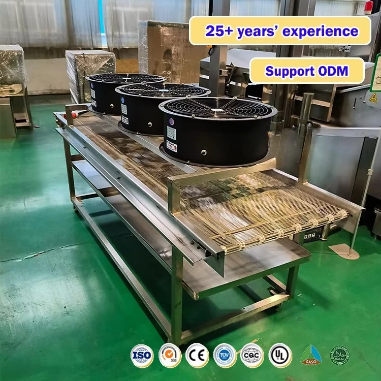 Machine à frire les aliments professionnelle
