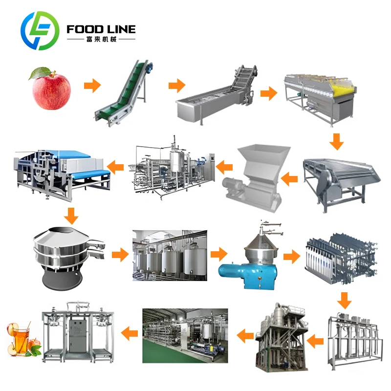 Presse à filtre commerciale personnalisée pour jus de pomme avec stérilisateur pour équipement professionnel de traitement des jus de fruits