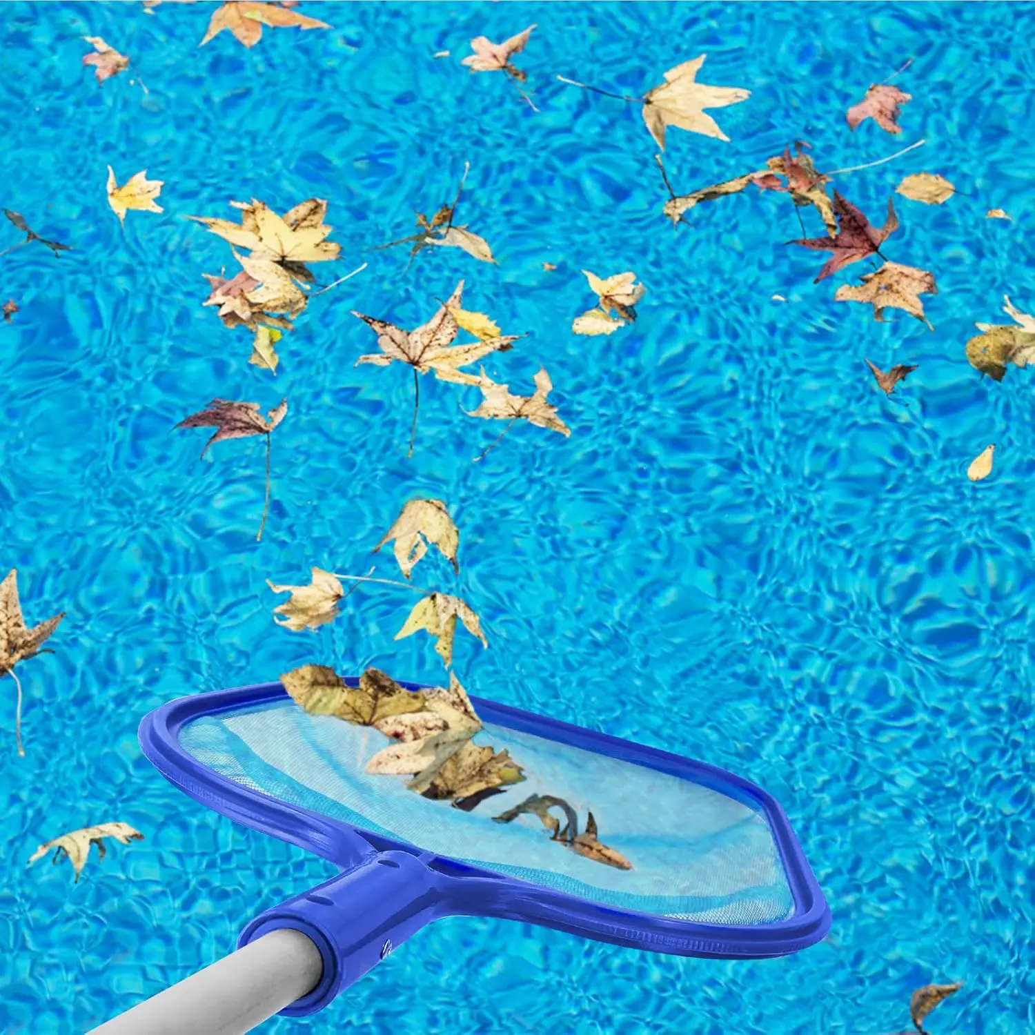 Épuisette de piscine, perche télescopique en aluminium réglable en 5 sections, filet de nettoyage pour bassin, épuisette à mailles fines