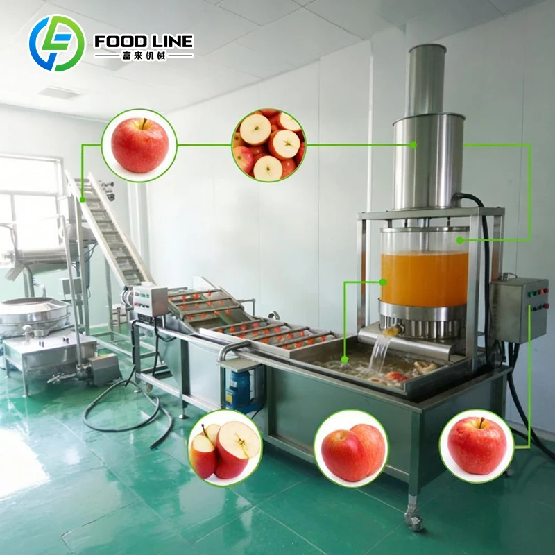 Presse à filtre commerciale personnalisée pour jus de pomme avec stérilisateur pour équipement professionnel de traitement des jus de fruits