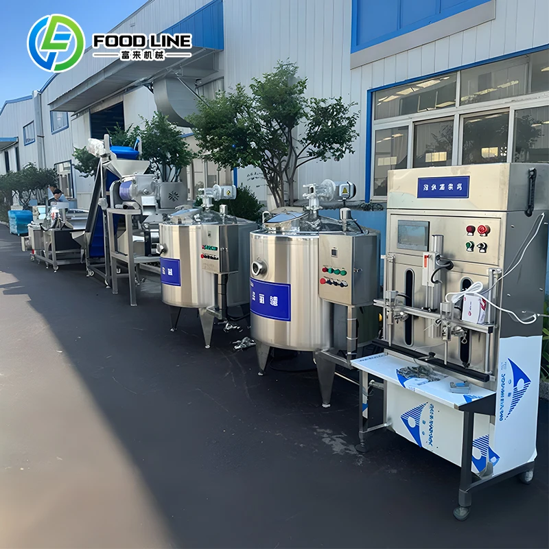 Ligne d'extraction de jus de pomme de qualité industrielle