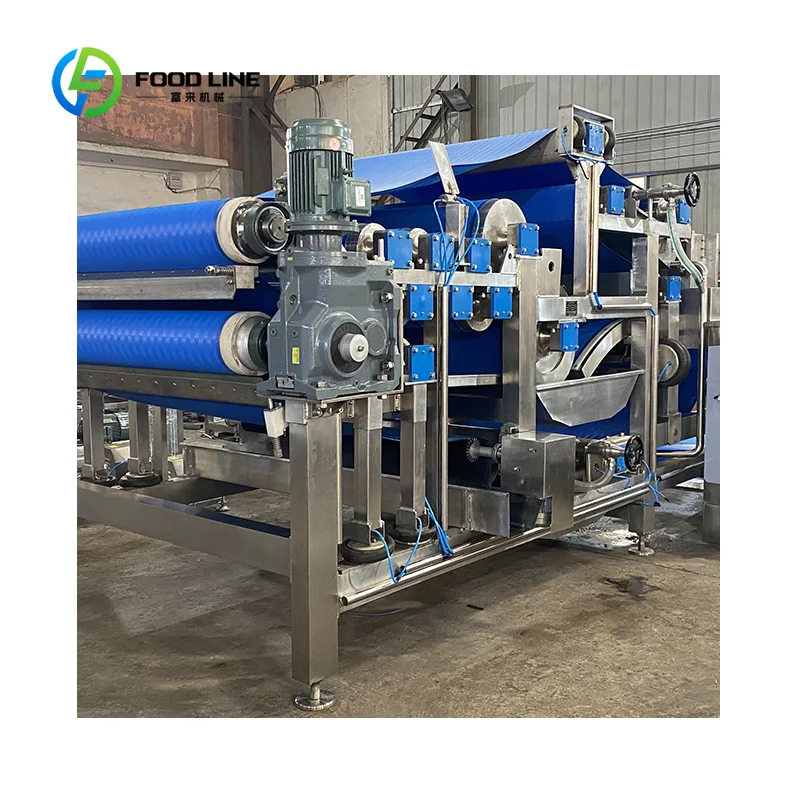 Extracteur de jus électrique personnalisé en acier inoxydable