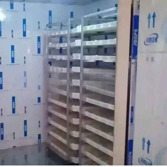 Équipement de boulangerie professionnel