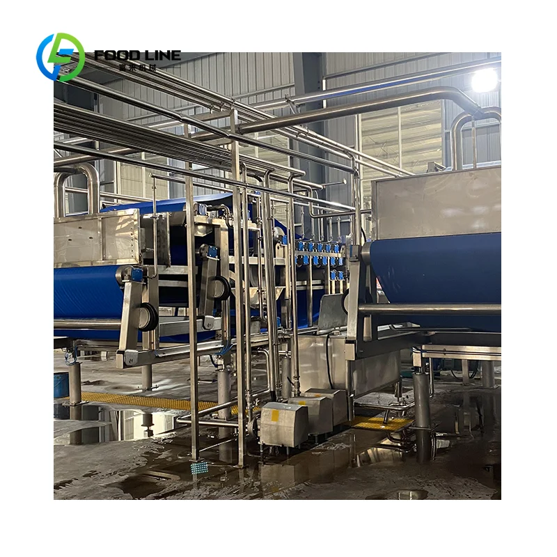 Extracteur de jus électrique personnalisé en acier inoxydable