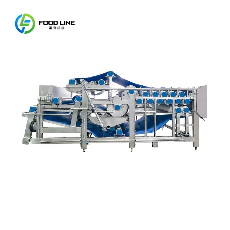 Extracteur de jus électrique personnalisé en acier inoxydable