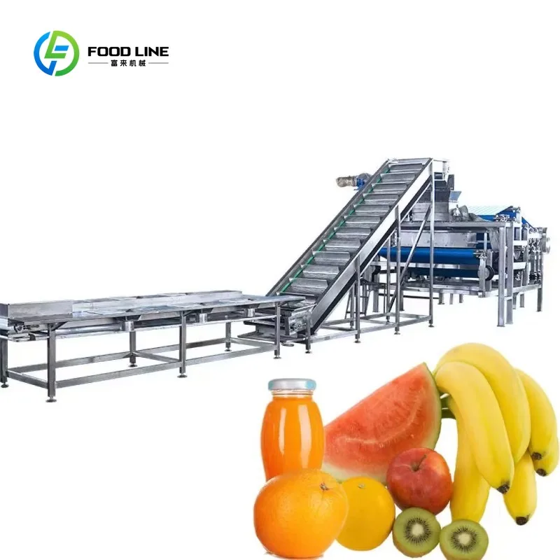 Ligne de production de jus de fruits automatique professionnelle personnalisée pour pommes/pépites/ananas