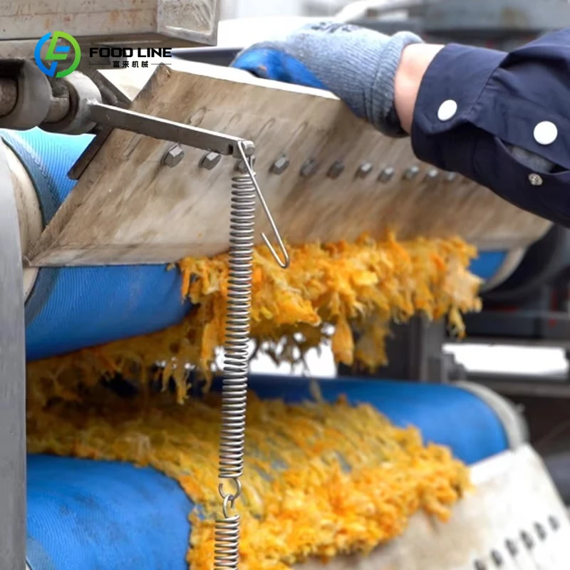 Ligne de production de jus de fruits automatique professionnelle personnalisée pour pommes/pépites/ananas