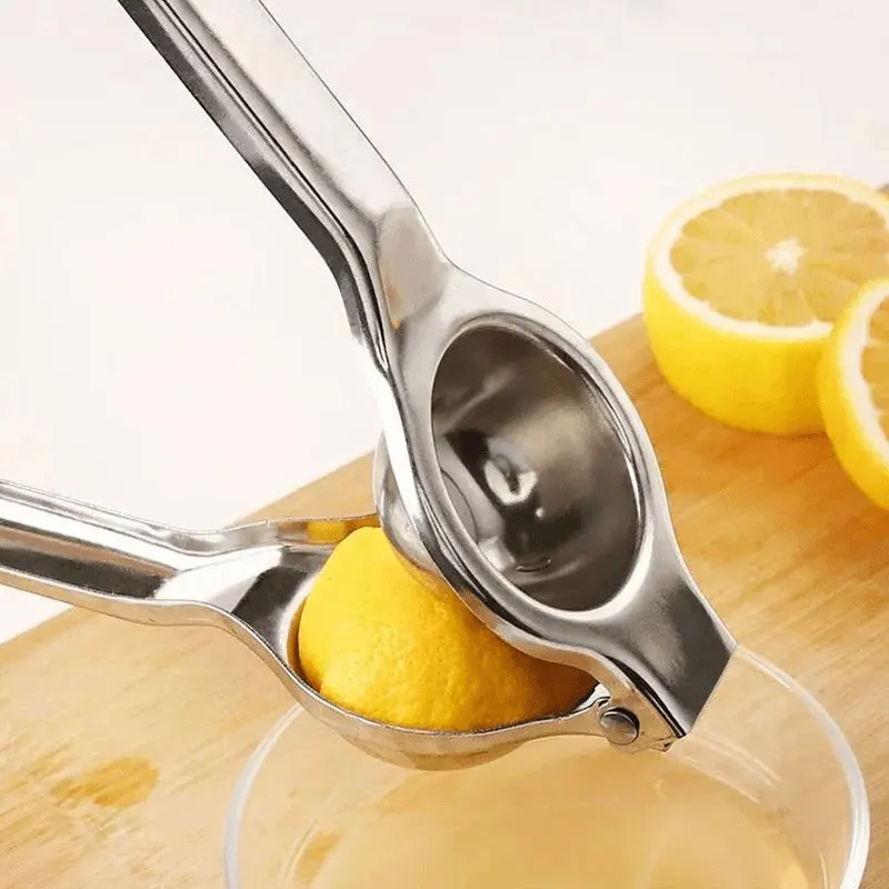 Extracteur de jus manuel en acier inoxydable