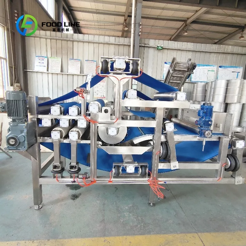 Presse à jus de fruits industrielle personnalisée avec moteur