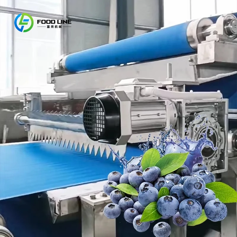 Ligne de production de jus de fruits automatique professionnelle personnalisée pour pommes/pépites/ananas