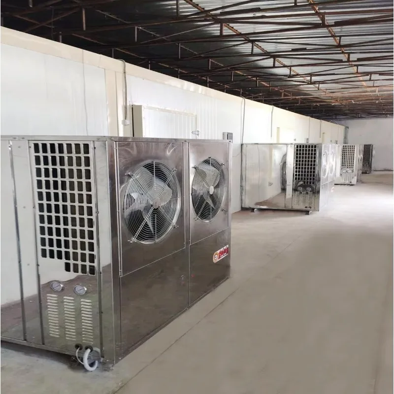 Pompe à chaleur industrielle, four déshydratant pour fruits secs, aliments industriels, Chili, poisson, citrouille, concombre de mer, Machine de séchage