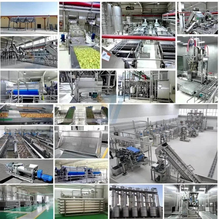 Ligne d'extraction de jus de pomme de qualité industrielle