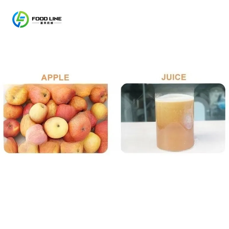 Extracteur de fruits et légumes à vis Commercial