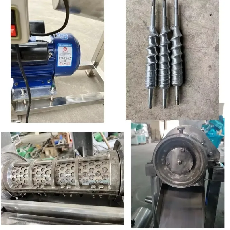 Machine d'extraction de jus de gingembre de qualité/Machine de fabrication de jus de gingembre/prix de presse-agrumes