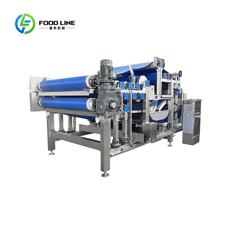 Extracteur de jus électrique personnalisé en acier inoxydable
