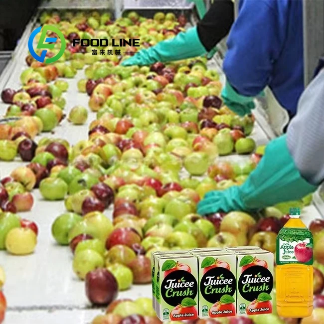 Ligne d'extraction de jus de pomme de qualité industrielle