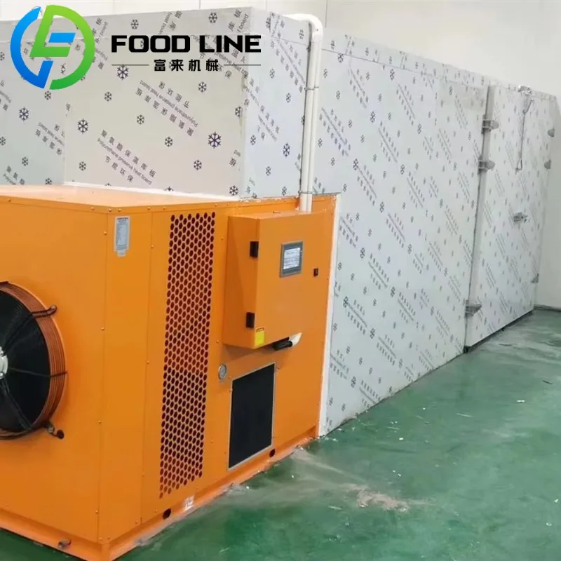 Système de contrôle de séchage Intelligent, pompe à chaleur, sèche-linge pour bœuf séché, équipement de séchage de saucisses de poisson salé