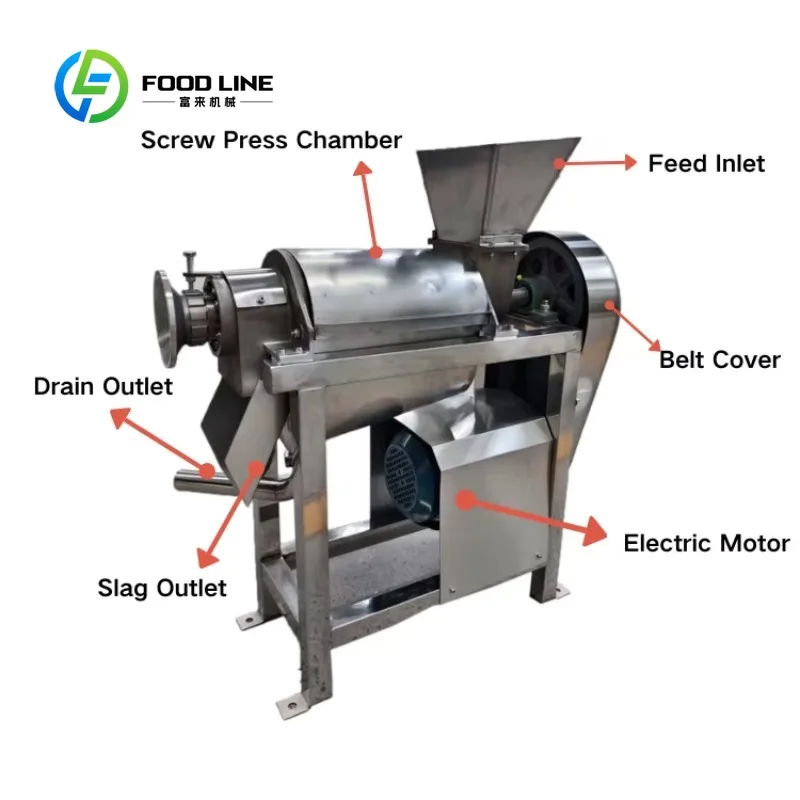 Presse-agrumes à mâcher commercial centrifuge de fruits, fabrication de jus de taille personnalisée, 200 watts