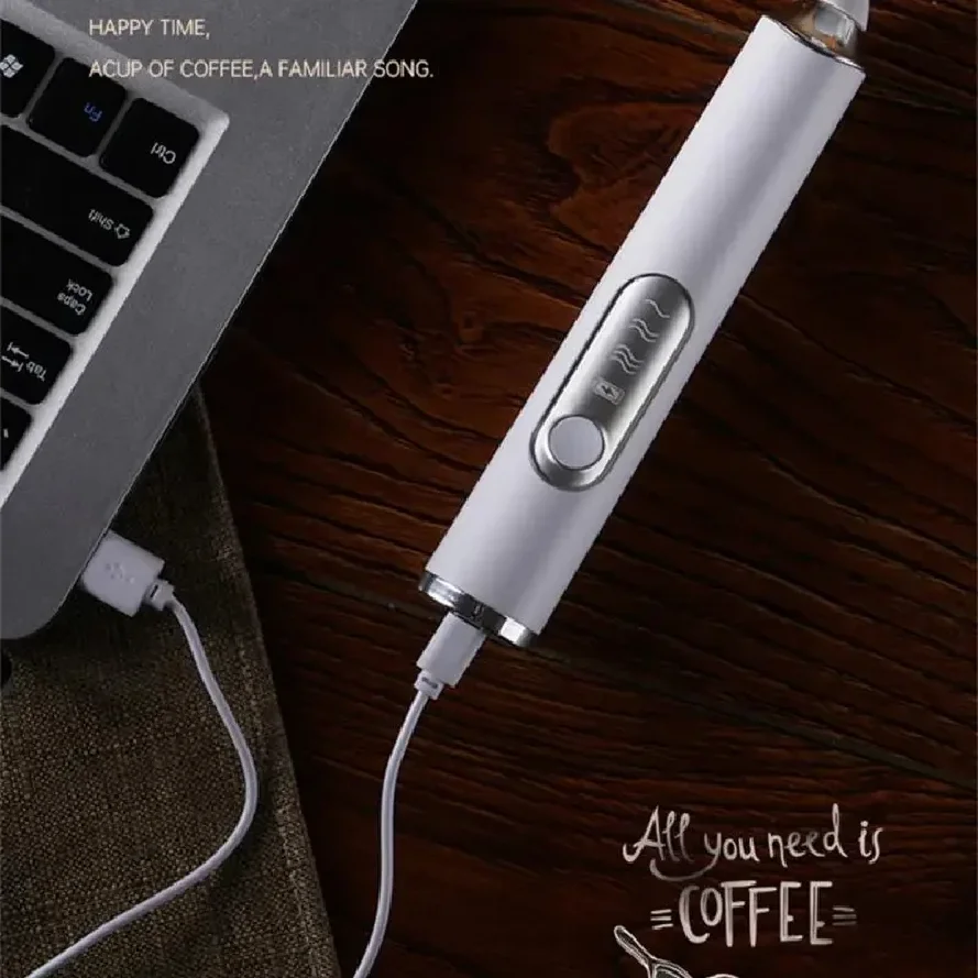 Fouet sans fil double tige portable
