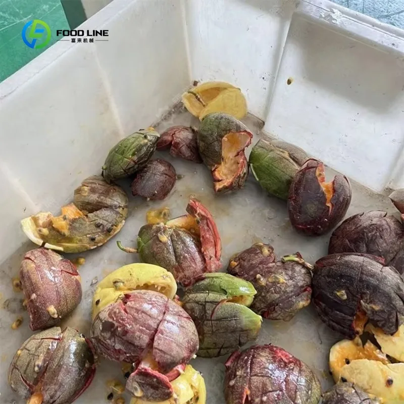 Extracteur de fruits professionnel Commercial SUS304