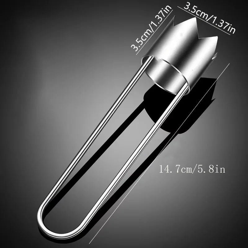 Extracteur de noyau Portable en acier inoxydable