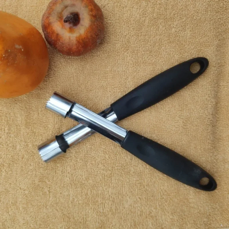 Extracteur de noyaux de fruits en acier inoxydable