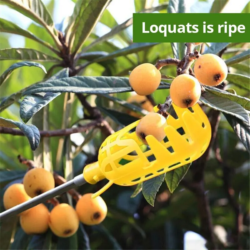 Ferme Jardin Cueillette DeviceGarden Outils Panier Profond Fruits Picker Tête Pratique Fruit Catcher Pomme Pêche