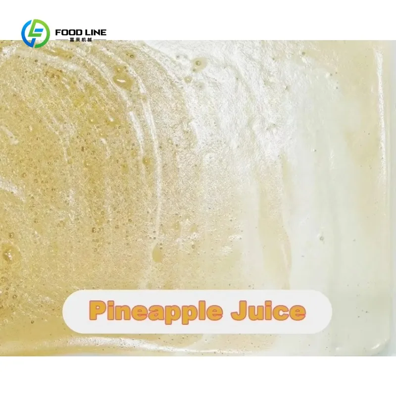 Extracteur de fruits et légumes à vis Commercial
