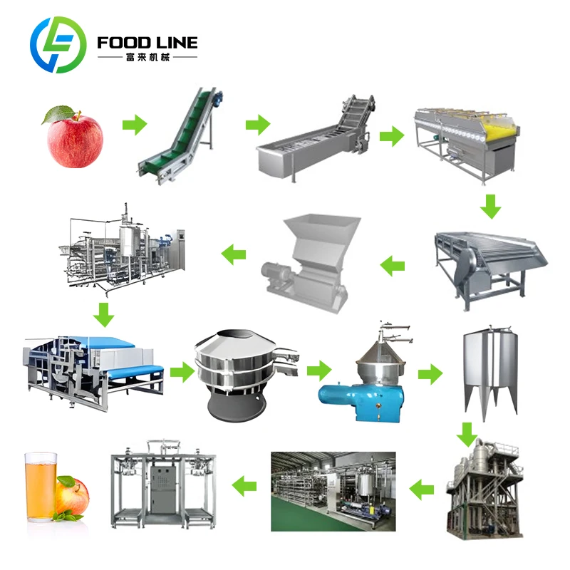 Presse à filtre commerciale personnalisée pour jus de pomme avec stérilisateur pour équipement professionnel de traitement des jus de fruits