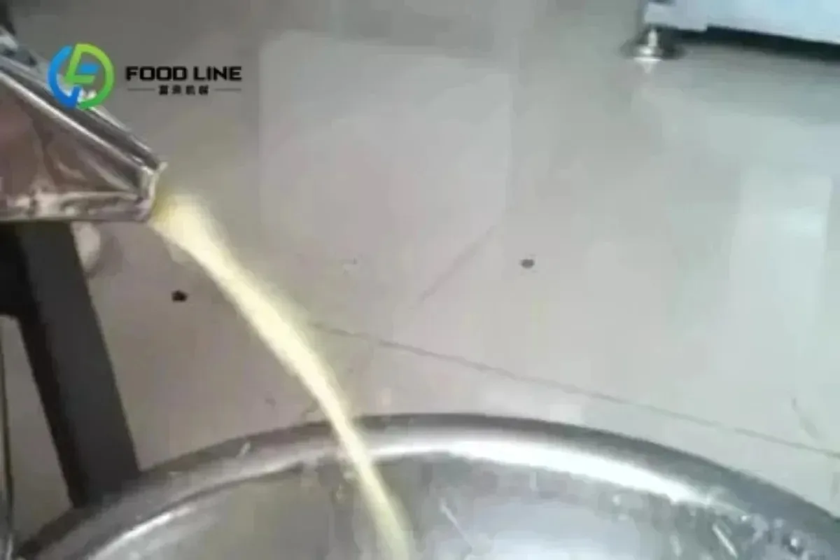 Extracteur professionnel de jus de gingembre de machine de presse-agrumes