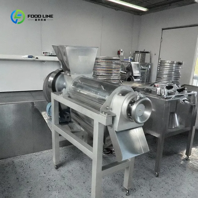 Machine professionnelle de jus de fruits et légumes